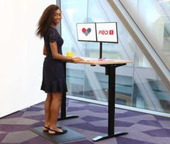 PRO 1 Single Motor Electric Standing Desk 120x80cm