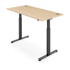 ACTIVE 2 Dual Motor Electric Standing Desk 160x80cm