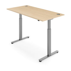 ACTIVE 2 Dual Motor Electric Standing Desk 160x80cm