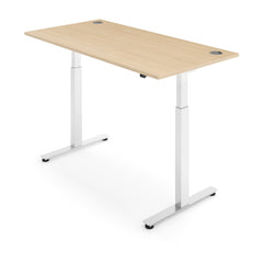 ACTIVE 2 Dual Motor Electric Standing Desk 160x80cm