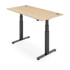 ACTIVE 2+ Dual Motor Electric Standing Desk 120x80cm