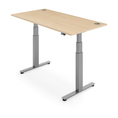ACTIVE 2+ Dual Motor Electric Standing Desk 120x80cm