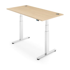 ACTIVE 2+ Dual Motor Electric Standing Desk 120x80cm