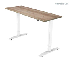 PRO 1 Single Motor Electric Standing Desk 120x80cm