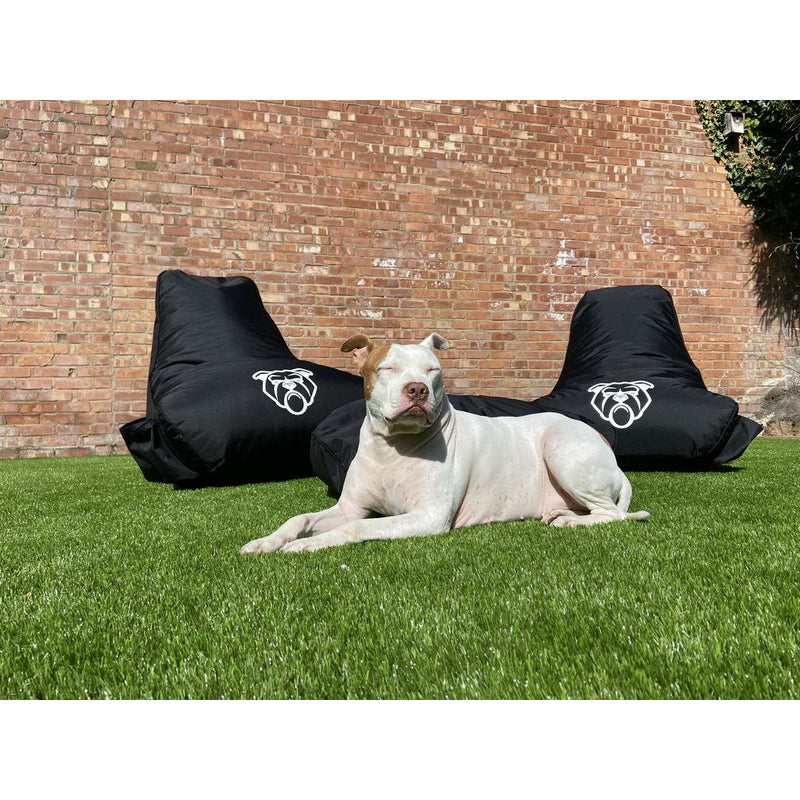 Bulldog Gaming Bean Bag Black - Adult Size