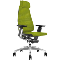 Genidia Mesh Ergonomic-Genidia-UK Gaming Chairs