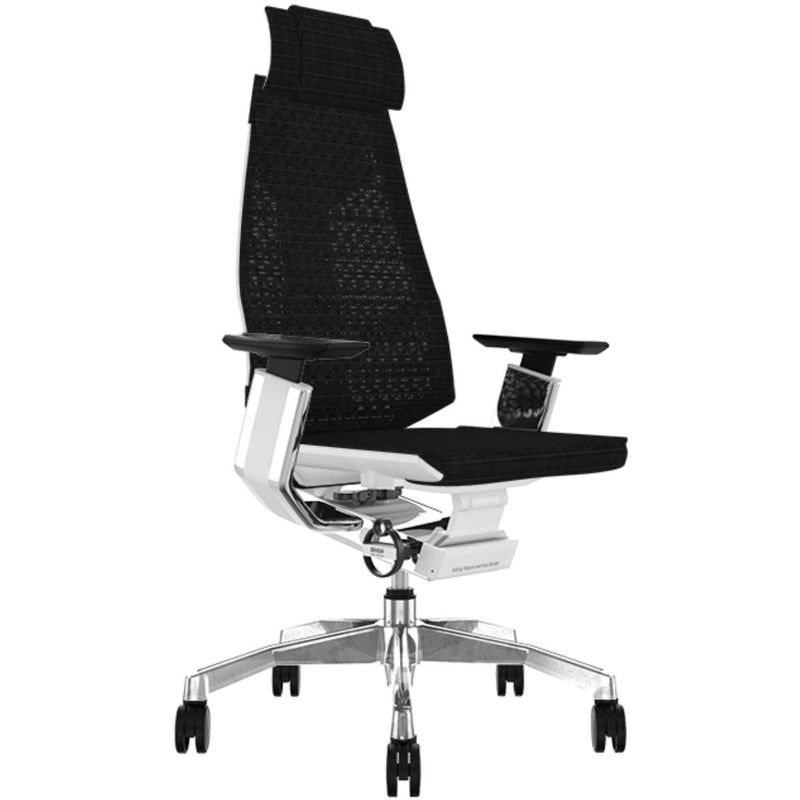 Genidia Mesh Ergonomic-Genidia-UK Gaming Chairs